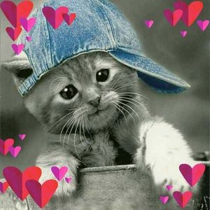 Meet your Posher, Mary